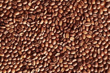 black coffee beans for background. coffee seed