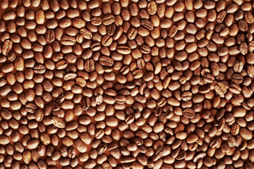 black coffee beans for background. coffee seed