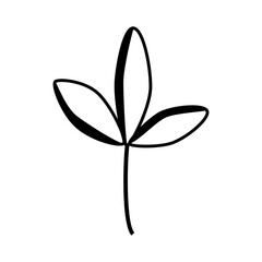 Hand drawn twigs with leaves in the doodle style