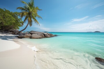 Obraz premium Tropical beach with palm tree summer destination