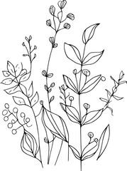 botanical line drawing, vintage botanical coloring pages, botanical elements, botanical flower illustration, botanical illustration black and white, botanical line drawing leaves,