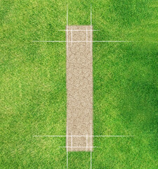 A direct top view of the layout of a cricket pitch. A direct top view of the layout of a cricket pitch. 3D Rendering	