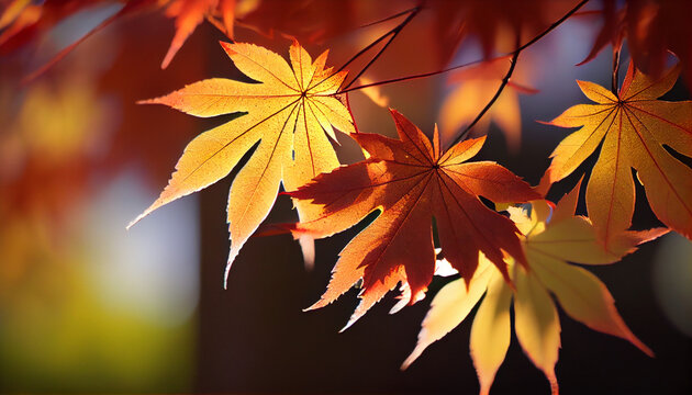 Beautiful maple leaves in autumn sunny day background Ai generated image