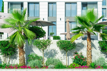 Fototapeta na wymiar the facade of the building decorated with palm trees and bushes