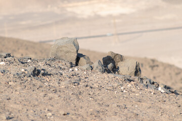 rocks in the desert