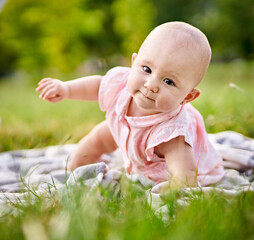 Little toddler baby learning to crawl on a picnic blanket in nature - Young tot girl on all fours smiling and looking on a blade of grass - Family outdoors concept with a little girl in a park