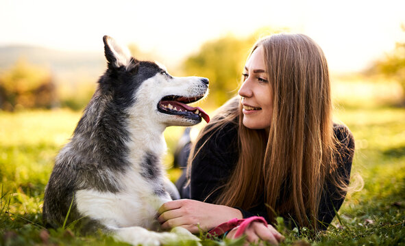 Siberian husky playing in grass outdoors with the owner girl together - Human and dog friendship and loyalty concept outside on a countryside field