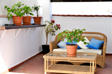 terraza del sur de Andalucía con maceta de bolsai en la mesa