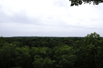 Scenic Nature Landscape in Southern Illinois – Forest, Trails, and Wildlife in Shawnee National Forest


