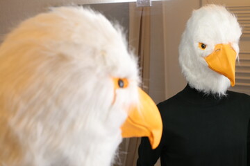 Bird looking a mirror reflection