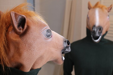 Horse looking a mirror reflection