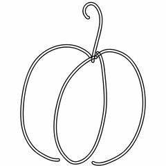 Pumpkin line drawing.