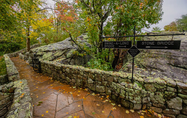 autumn in the forest of Chattanooga