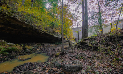 below the dam in autumn