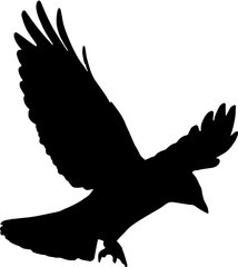 silhouette of a crow vector