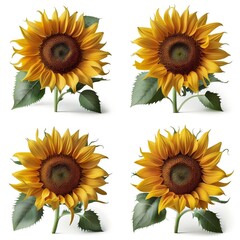 set of sunflowers Generative AI
