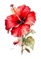 Red hibiscus flower isolated on white background, watercolor illustration. Generative AI.