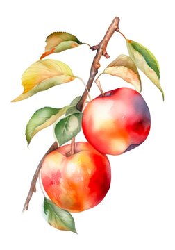 Branch of red apples isolated on white background, watercolor illustration. Generative AI.