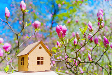 Toy Wooden House among Blooming Magnolia Flowers