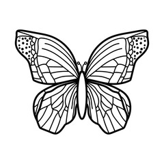 butterfly for coloring page  isolated on white