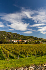Obraz premium Wachau valley near Durnstein, UNESCO site, landscape with vineyards, Austria