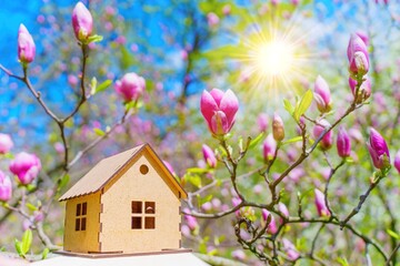 Toy Wooden House amongst Blooming Magnolia Tree