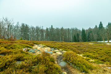 Frühlingswanderung im Bayerischen Wald zum Zwieselter Fist an der Grenze zu Tschechien - Bayern -...