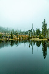 Obraz premium Frühlingswanderung im Bayerischen Wald zum Zwieselter Fist an der Grenze zu Tschechien - Bayern - Deutschland