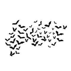 silhouettes of flying bats