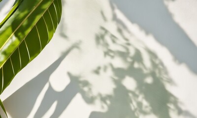 Soft tropical banana leaf shadow sunlight on cream wall (Generative AI) - obrazy, fototapety, plakaty