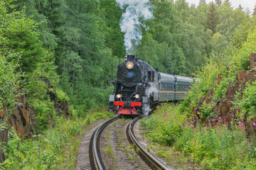 Fototapeta premium Retro steam train moves at summer morning time.