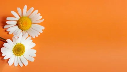 Badkamer foto achterwand flowers on a orange background © amirax545
