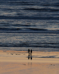 Man and women with dog taking walk on the beach at sunset with ocean waves behind them.