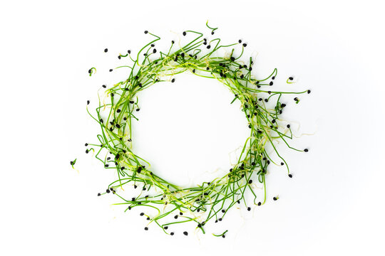 Garlic chives or scallion microgreen shoots close up on white background. Green onion creative shots. Food decor. Superfood, healthy eating concept