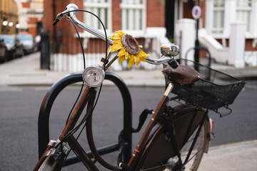 Horizontal close-up of brown vintage look bicycle with a yellow sunflower on the handlebars. The...