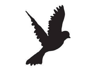Obraz premium Birds Vector