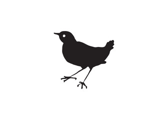 Birds Vector
