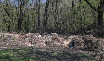 garbage in the forest , image taken in countryside