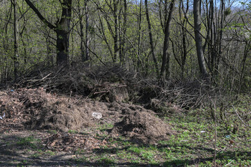 Fototapeta premium garbage in the forest , image taken in countryside