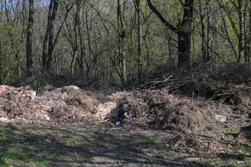 Fototapeta na wymiar garbage in the forest , image taken in countryside