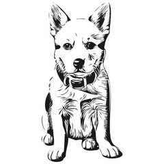 Portrait of a cute puppy on a white background puppies