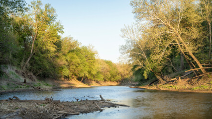Obraz premium Lamine River in early spring at Roberts Bluff Access near Blackwater, MO