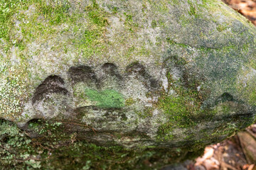Marks on the rock in the Amazon area