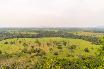 Fototapeta na wymiar Landscape of jungle area in the Colombian Amazon