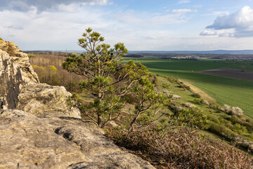 Harslebener Berge Naturschutzgebiet