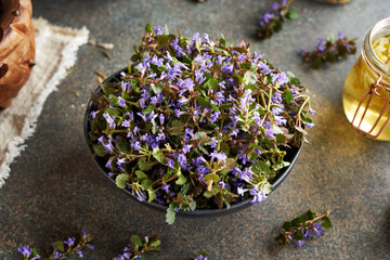 Fresh ground-ivy flowers in a bowl