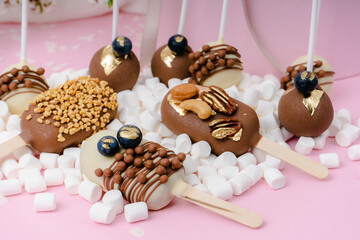 popsicle shaped cake pops and marshmallows on pink background