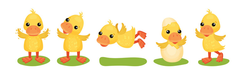 Funny Yellow Duckling Engaged in Different Activity Vector Set