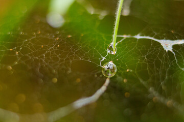 close up of a drop of water
