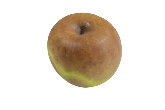 pomme pourrie isol&eacute; sur un fond blanc